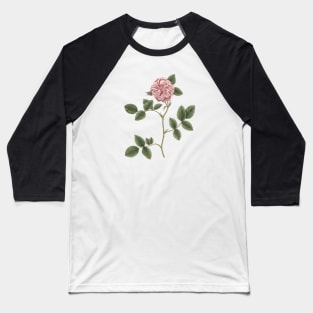 Pink Rose Flower Botanical Illustration Baseball T-Shirt